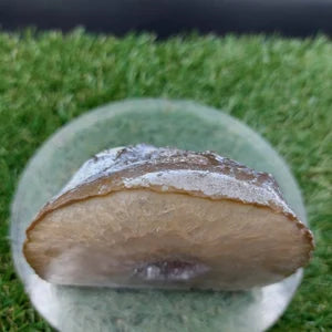 Natural Geode Agate with Quartz - Amazing Collector's Piece Extra Quality