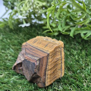 Rough Tiger Eye Specimen | Natural Brown Crystal | Unique Home Decor & Gift