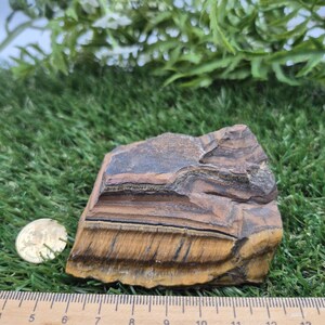 Rough Tiger Eye Specimen | Natural Brown Crystal | Unique Home Decor & Gift