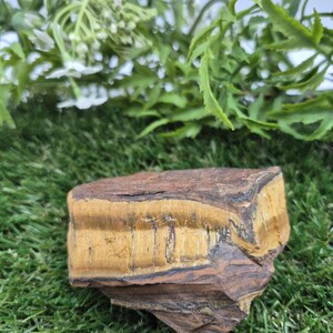 Rough Tiger Eye Specimen | Natural Brown Crystal | Unique Home Decor & Gift