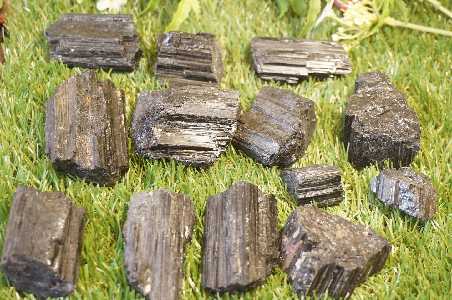 Natural Black Tourmaline shield rough crystal protection stone collection healing