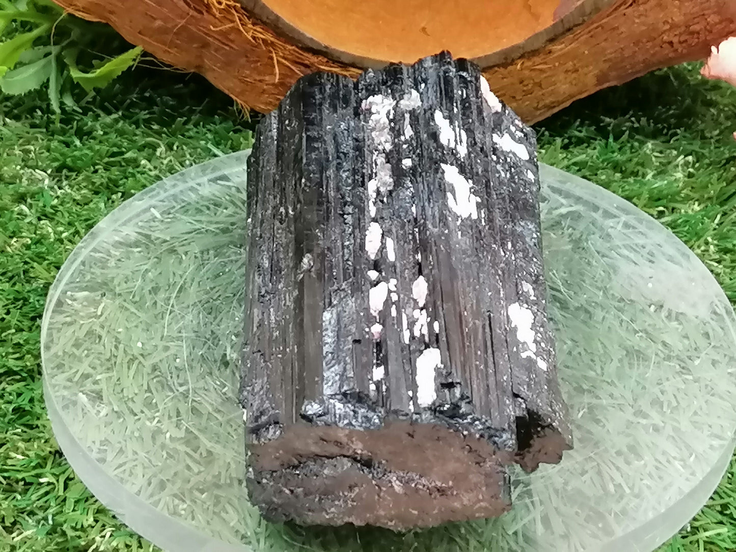 Schwarzer Turmalin-Schörl-Kristallschutz, Heilmineral und Wohndekor