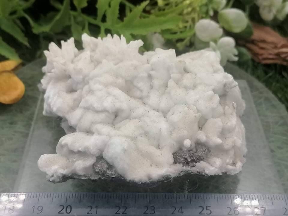 Griechisches Mineral Calcit Aragonit Koralle Form Sammlung Exemplar Heilstein Birtsthone Kristall Schutz Dekoration Mineral