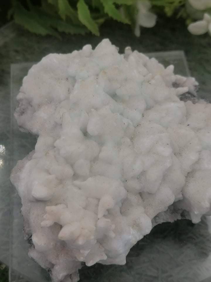 Griechisches Mineral Calcit Aragonit Koralle Form Sammlung Exemplar Heilstein Birtsthone Kristall Schutz Dekoration Mineral
