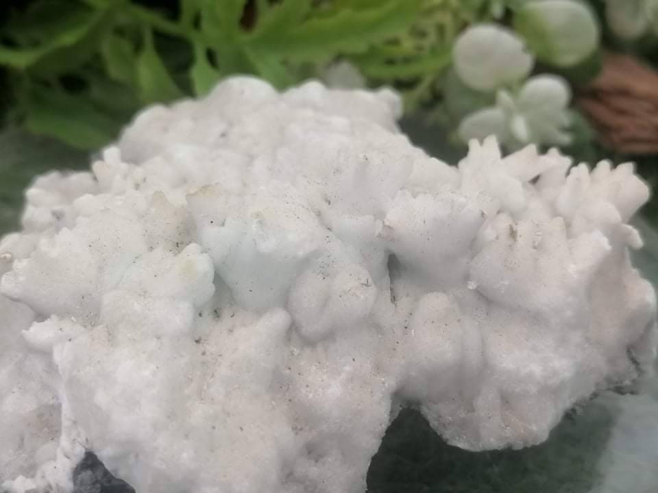 Griechisches Mineral Calcit Aragonit Koralle Form Sammlung Exemplar Heilstein Birtsthone Kristall Schutz Dekoration Mineral