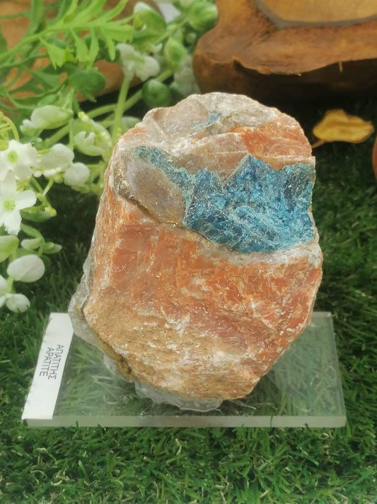 Natürlicher Apatitkristall, orange und blau, Sammlungsexemplar, Heilstein, Birtsthone-Kristall, Schutzdekoration, Mineral