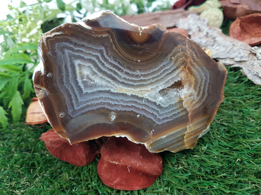 Orange/Brauner Achat mit Quarz-Mittelpunkt - Rohmineral - Büroschutz - Geody-Stück