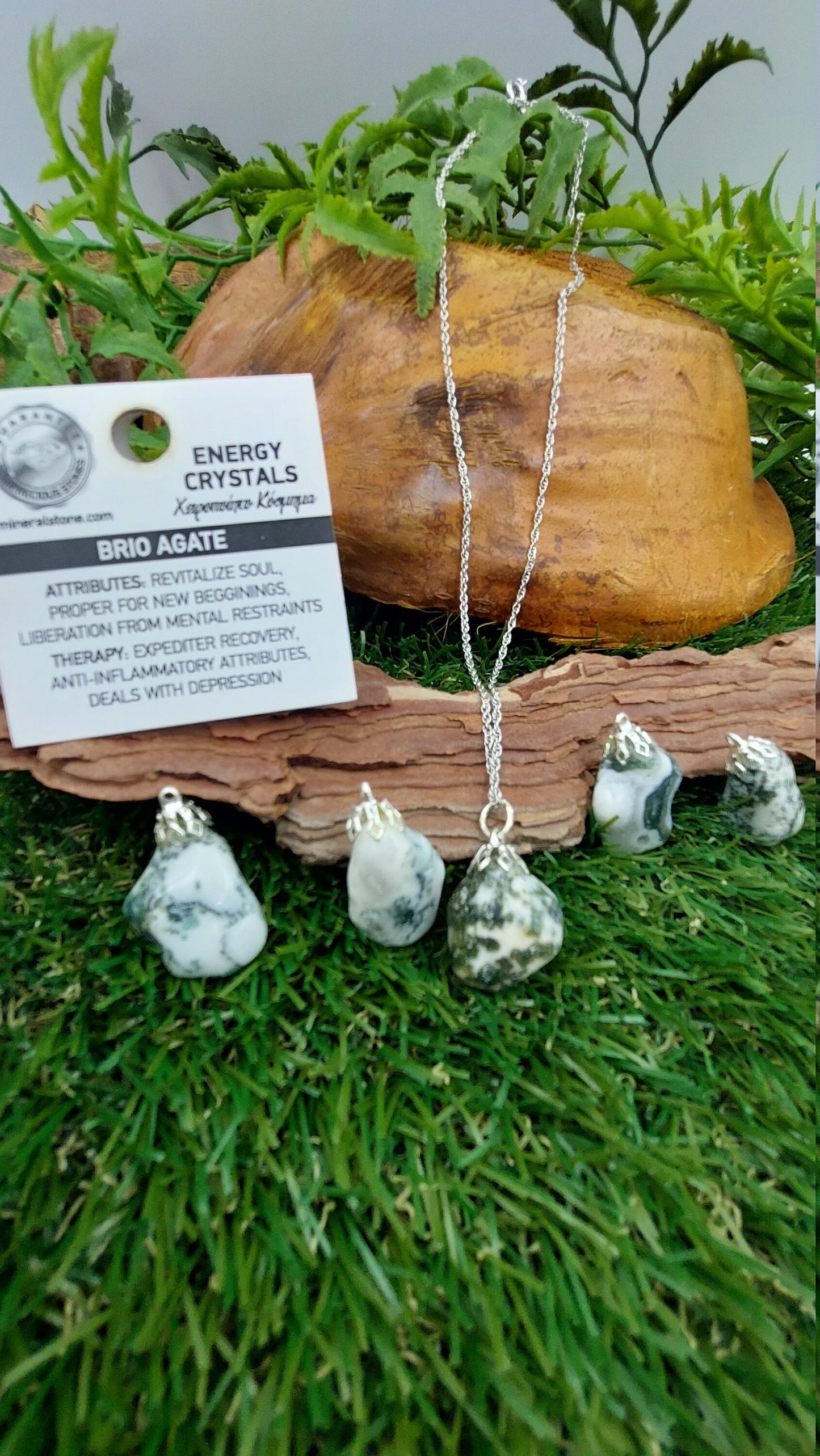 Χειροποίητο κολιέ Tree Agate