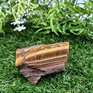 Rough Tiger Eye Specimen | Natural Brown Crystal | Unique Home Decor & Gift