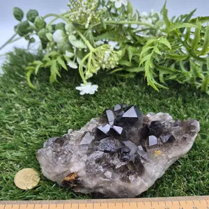 Raw Smoked Quartz Cluster | Natural Healing Crystal | Unique Mineral Gift