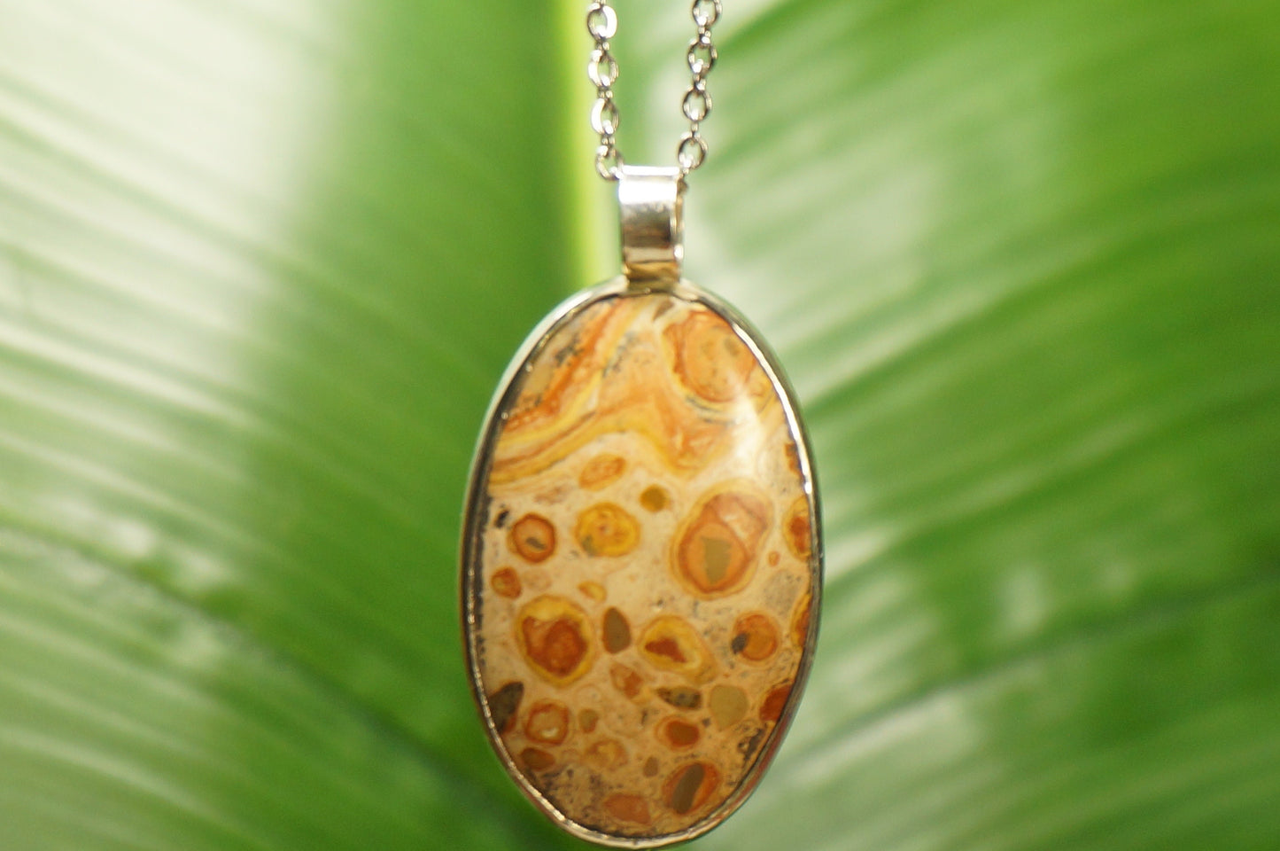 Hochwertige Kristalljaspis-Leoparden-Halskette mit Cabochon-Schliff, Sterling-Silber 925, Lünetten-Anhänger