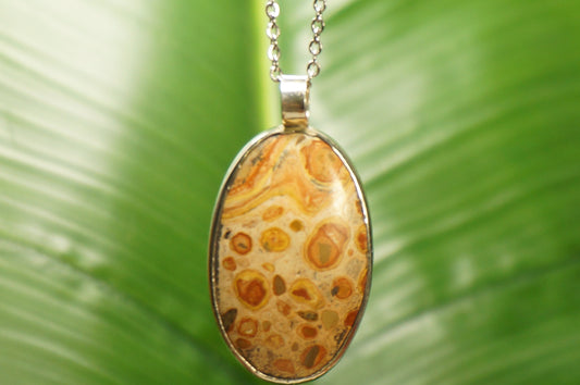 Hochwertige Kristalljaspis-Leoparden-Halskette mit Cabochon-Schliff, Sterling-Silber 925, Lünetten-Anhänger