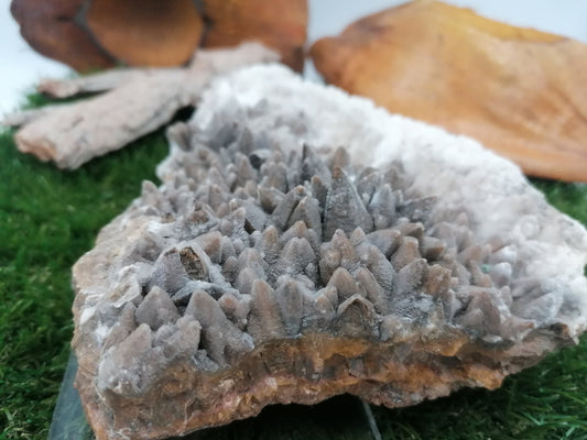 Dog Teeth Ankerite Oxidation Calcite Greek Mineral Collection σπάνιο κομμάτι