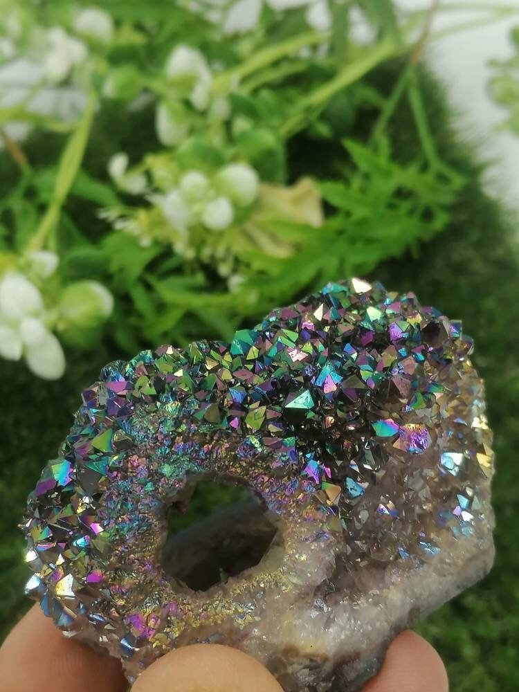 Natürlicher Kaktus-Amethyst und Titanoxidation - Erstaunliches Sammlerstück von besonderer Qualität