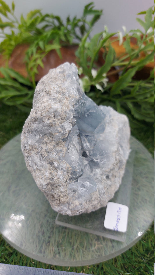 Rough Geody Celestite Mineral Piece - Διακόσμηση σπιτιού / Φενγκ Σούι / Προστασία / Ιδέες για δώρα