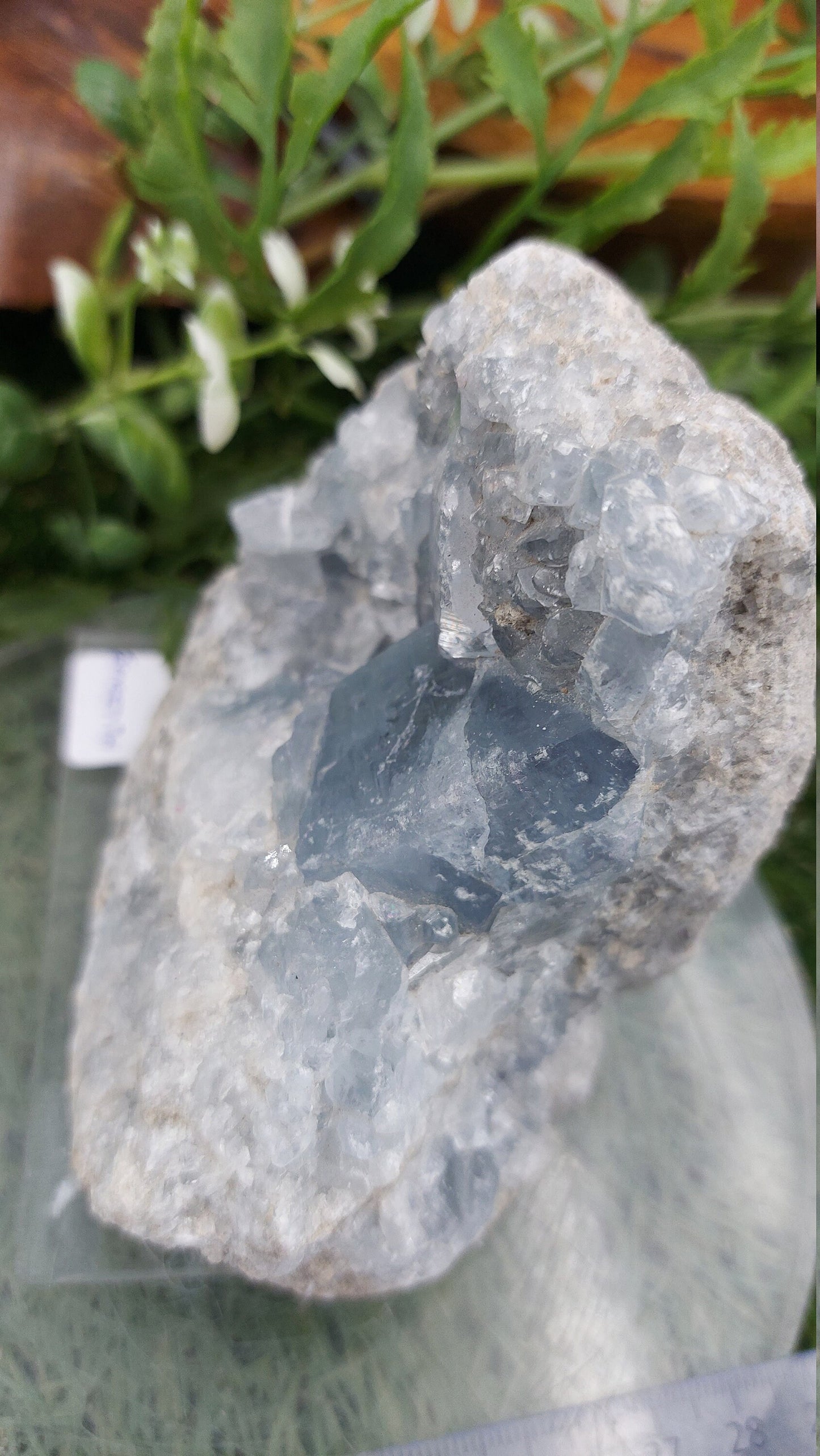 Rohes Geody-Coelestin-Mineralstück - Wohndekor / Feng Shui / Schutz / Geschenkideen