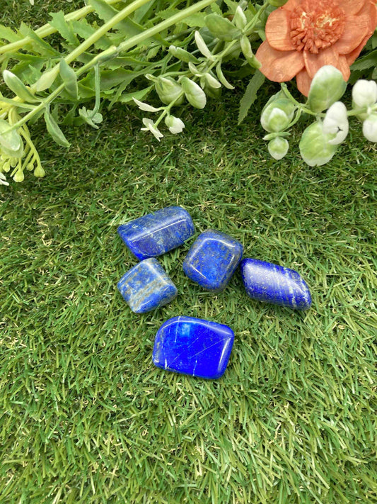 Lapislazuli polierte Kristalle - Lot